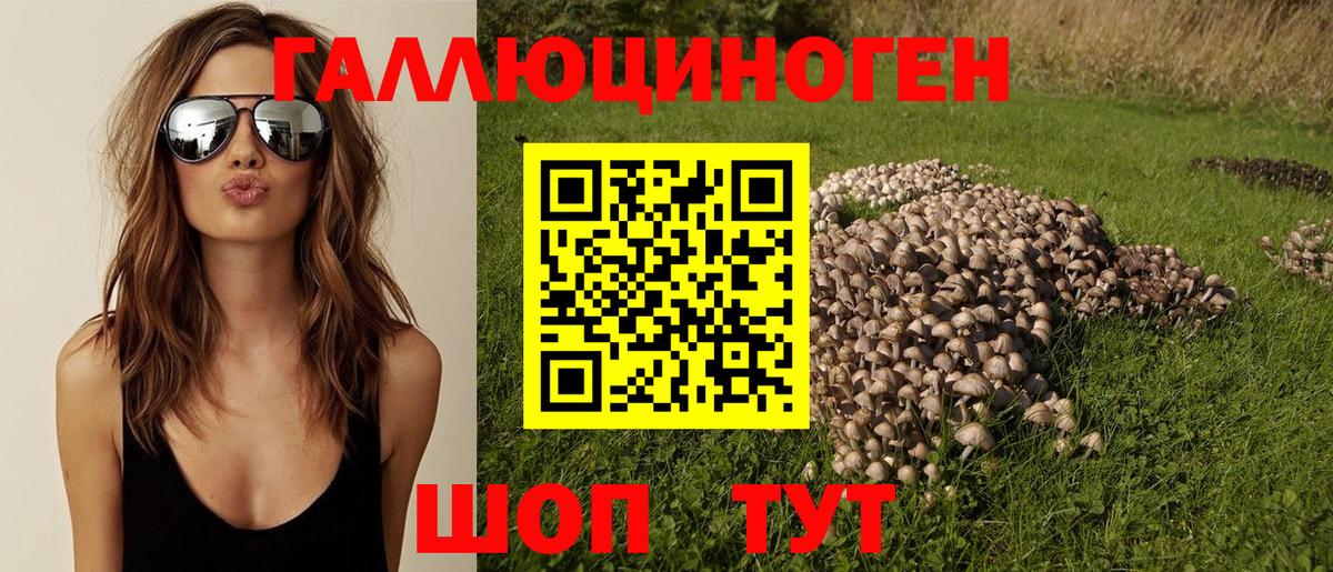 Псилоцибиновые грибы ЛСД Ивантеевка