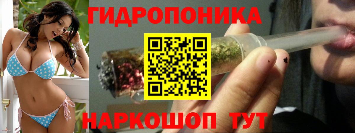 Каннабис сатива Ивантеевка